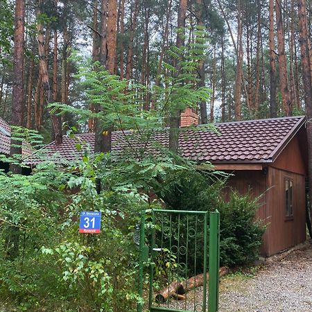 Przytulny Domek W Lesie Blisko Rzeki Ryczywol  Экстерьер фото